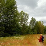 Permalink to Thanksgiving Prayer The young Black Cottonwoods I know