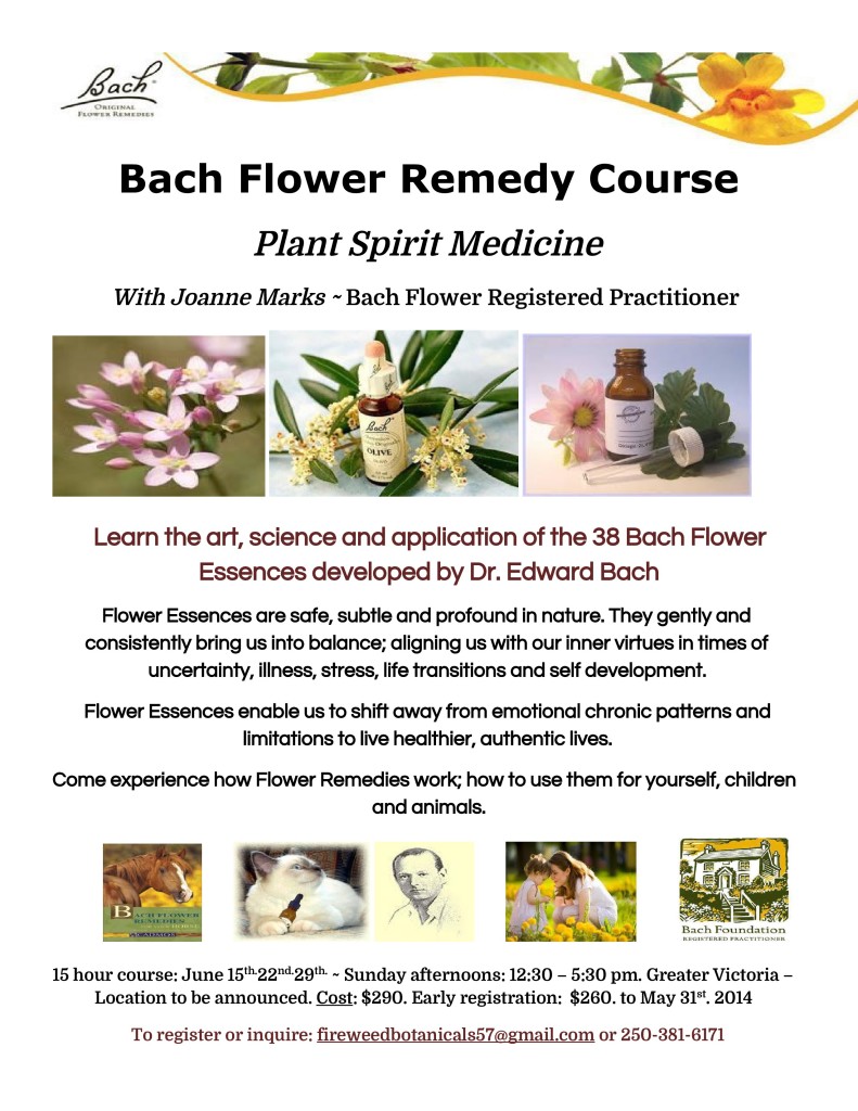 BachFlower-Remedy-Course